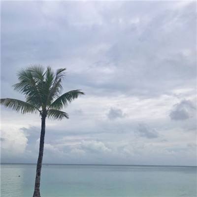 动物徽章对战online下载