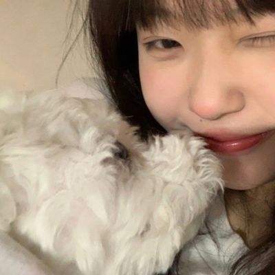 魔卡猎人手游下载